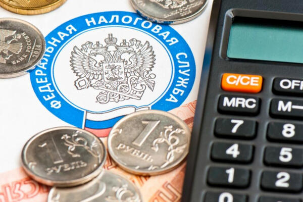 Как правильно оформить налоговый вычет в РФ 