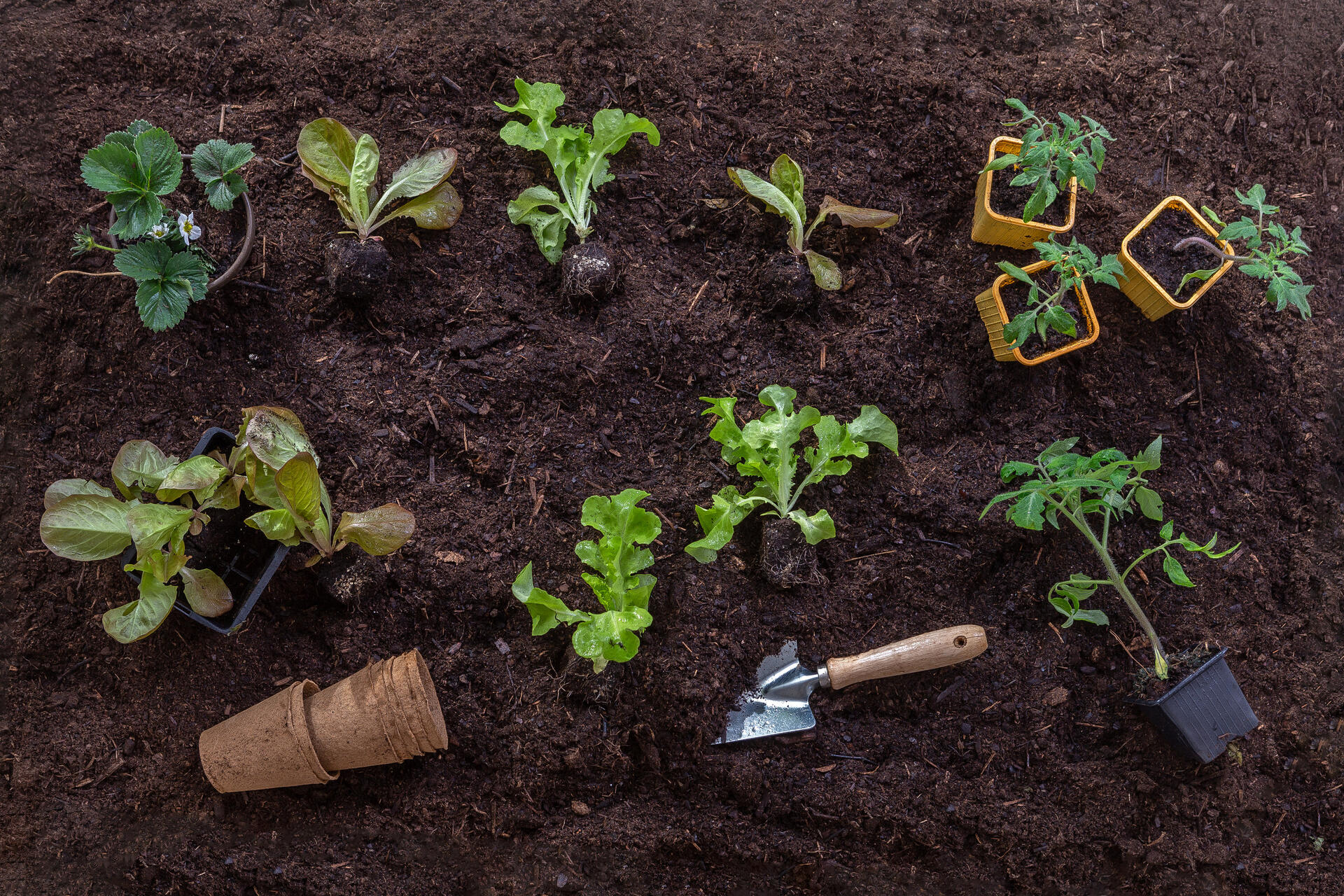 инструменты для дачи, садовый инвентарь список, что нужно для дачи, дачный сезон подготовка, инструменты для огорода, садовые инструменты, инвентарь для дачи список, что купить к дачному сезону, садовый инвентарь для начинающих, список инструментов для огорода