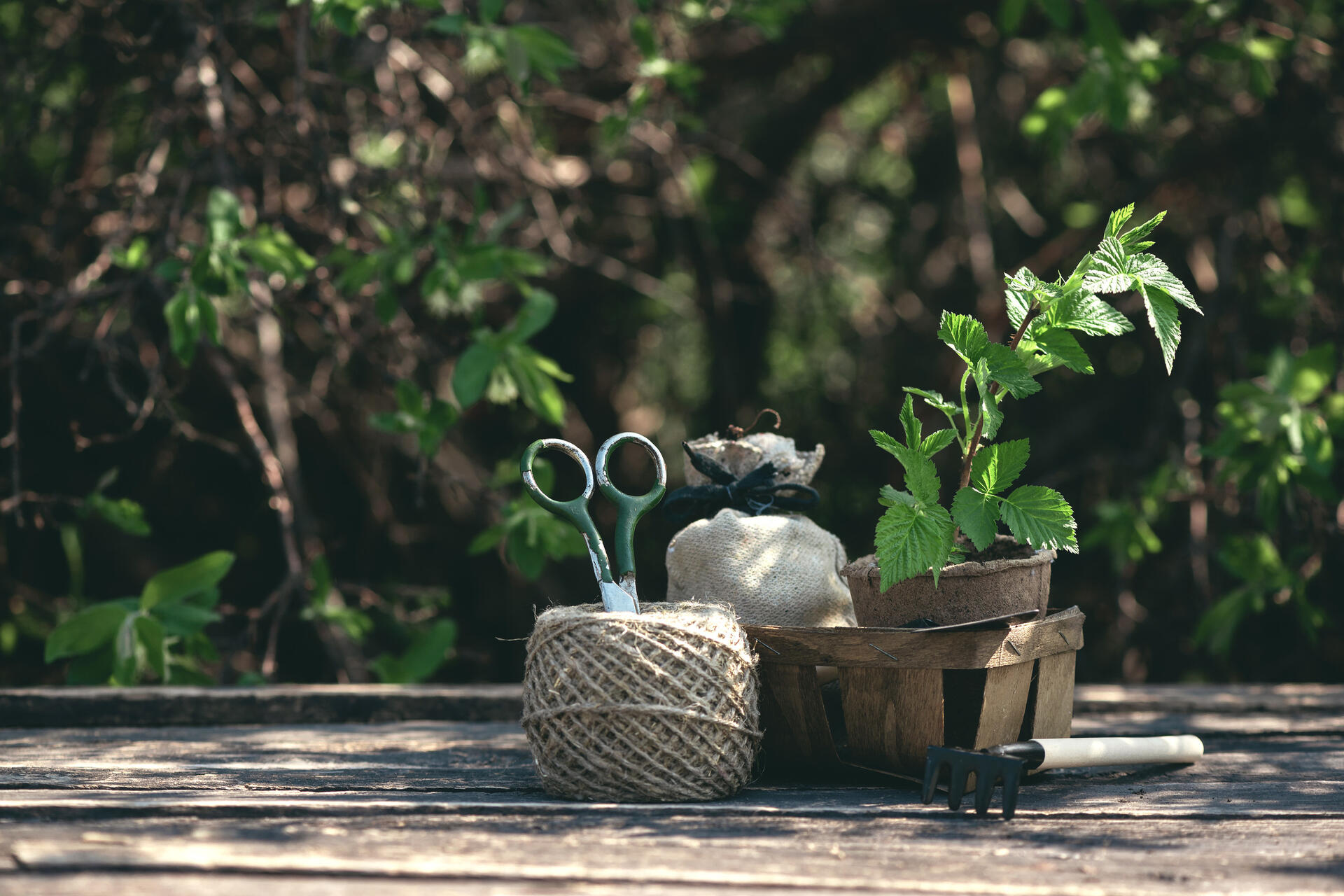 инструменты для дачи, садовый инвентарь список, что нужно для дачи, дачный сезон подготовка, инструменты для огорода, садовые инструменты, инвентарь для дачи список, что купить к дачному сезону, садовый инвентарь для начинающих, список инструментов для огорода