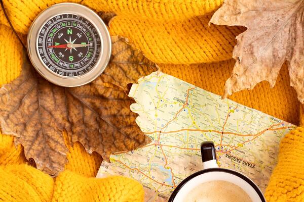 «Фантастика, да и только»: Вильфанд назвал рекордный показатель нынешней осени