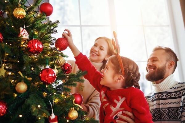 Как выбрать елку к новому году, чтобы не испортить праздник