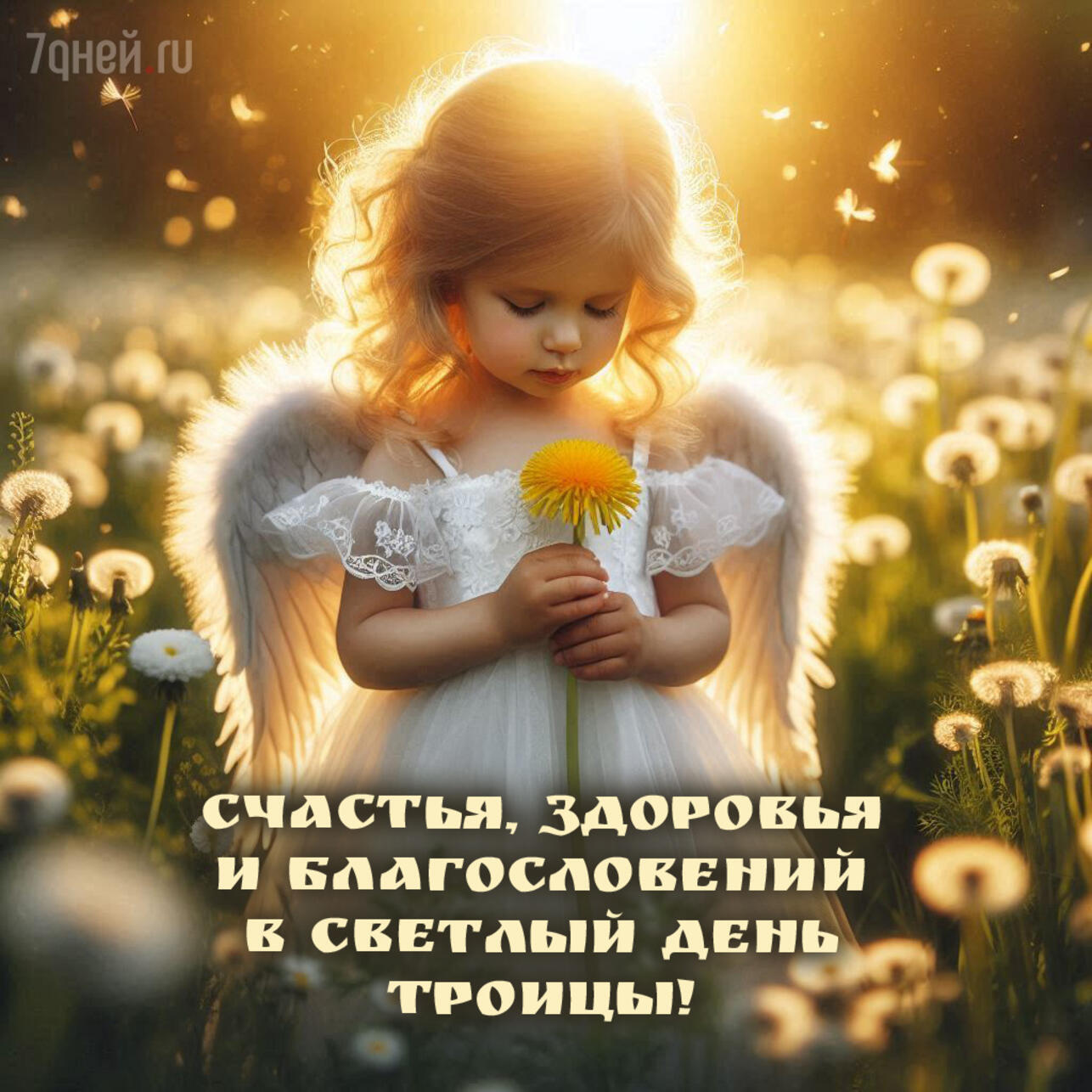 открытки с Троицей, поздравления с Троицей, открытки ко дню Святой Троицы, красивые открытки Троица, Троица 2025, пожелания на Троицу, христианские открытки, добрые слова к Троице, картинки с Троицей, утренние поздравления Троица
