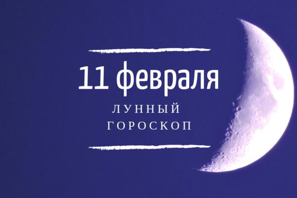    11 , 