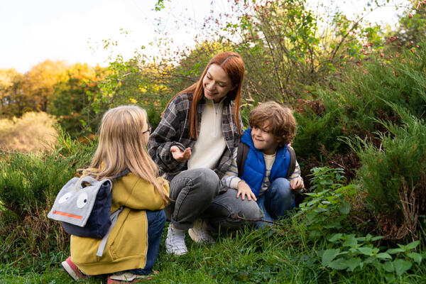 Идем в лес: развивающая прогулка