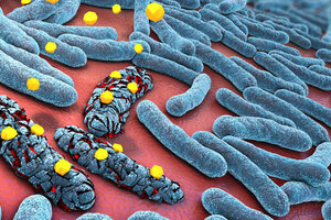 Создан антибиотик, способный уничтожать супербактерии