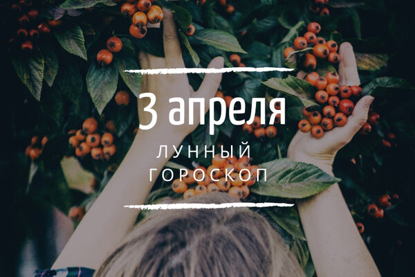    3 , 