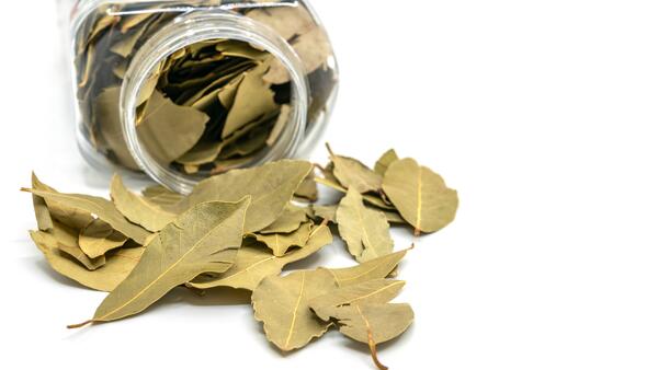 ���������&nbsp; ���������: ��� ���������� ������� �������� ������