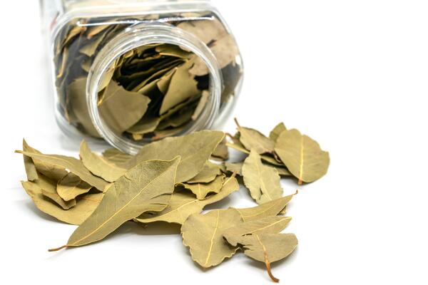 Ароматная подкормка: чем порадовать зеленых питомцев весной