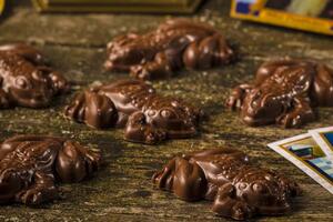 Шоколадные лягушки Гарри Поттера: рецепт волшебного блюда