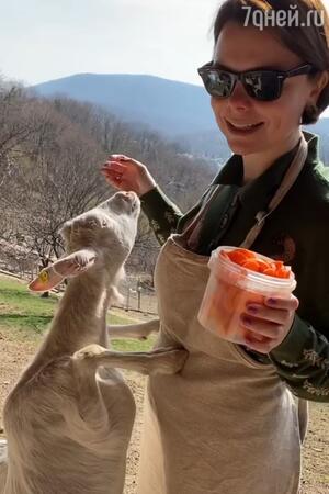 Вторая беременность Татьяны Брухуновой Вторая беременность Татьяны Брухуновой