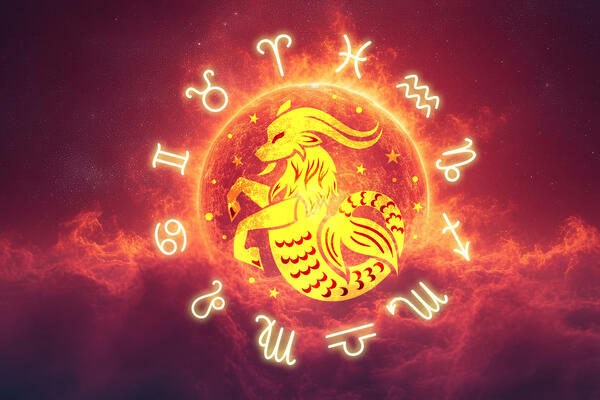 Солнце в Козероге: гороскоп с 14 января по 13 февраля для всех знаков зодиака