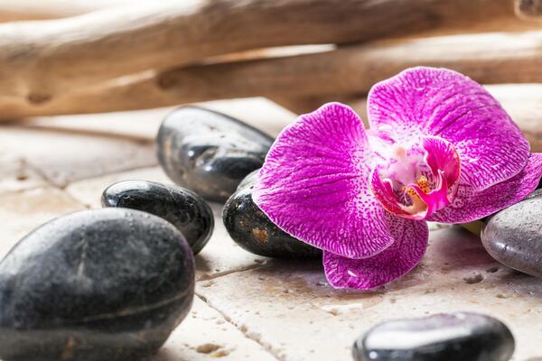 8 апреля: какой сегодня праздник?