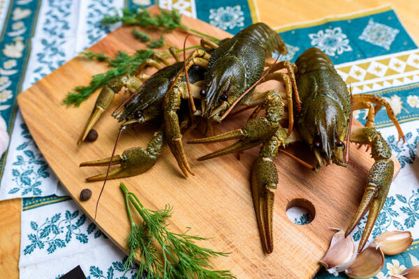 К чему снятся раки