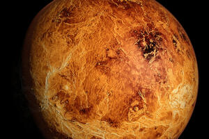 Как разбогатеть до 23 января, пока Венера находится в Козероге — астролог Негрей раскрыла секрет