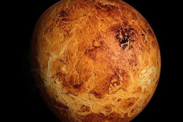 Как разбогатеть до 23 января, пока Венера находится в Козероге — астролог Негрей раскрыла секрет