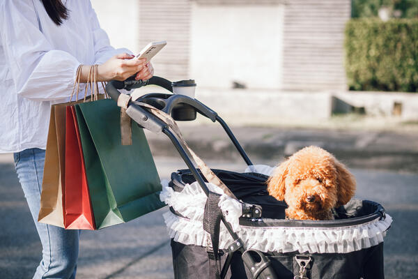 «Это мой сыночка»: современные люди все чаще воспринимают своих питомцев как детей. Почему так происходит?