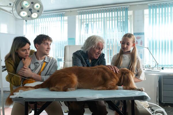 Сергей Гармаш говорит с животными в трейлере семейной комедии «Доктор Гаф»