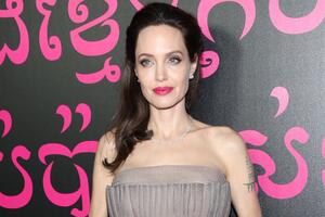 Анджелина Джоли предложила свою помощь в задержании международного преступника