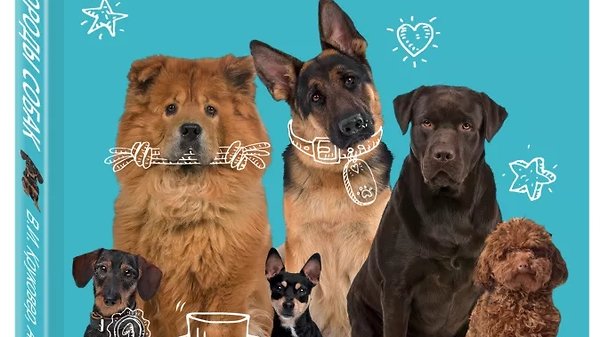 10 полезных книг для владельцев собак