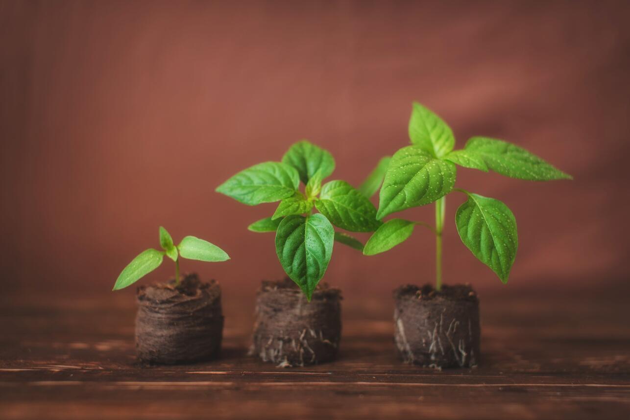 РќРёРєРѕРіРґР&deg; РЅР&micro; РґР&micro;Р&raquo;Р&deg;Р№С&sbquo;Р&micro; СЌС&sbquo;РѕРіРѕ СЃ СЂР&deg;СЃСЃР&deg;РґРѕР№! 5 С&bdquo;Р&deg;С&sbquo;Р&deg;Р&raquo;СЊРЅС&lsaquo;С&hellip; РѕС&euro;РёР&plusmn;РѕРє, РєРѕС&sbquo;РѕСЂС&lsaquo;Р&micro; РїР&deg;СЂР&deg;Р&raquo;РёР&middot;СѓСЋС&sbquo; СЂРѕСЃС&sbquo;