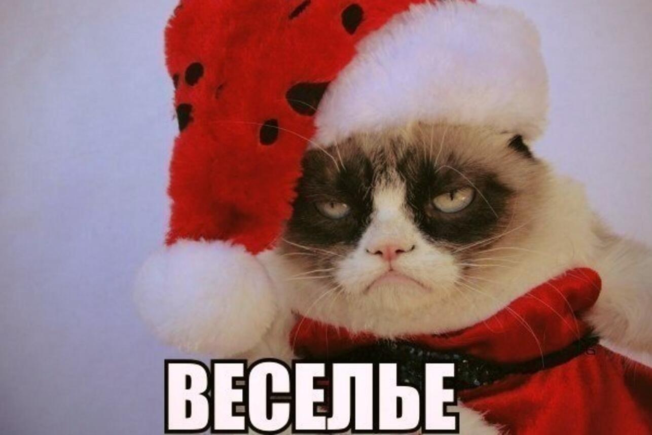 новогоднее настроение мемы, мемы про новый год, смешные мемы про праздники, новогодняя суета мемы, картинки про декабрь, мемы про елку, мемы про подарки, мемы про гирлянду, мемы про мандарины, мемы про праздники