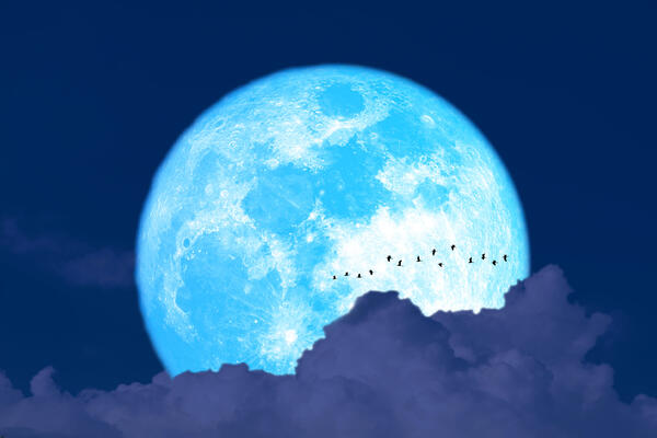 Магическая Голубая Луна: какой знак зодиака попадет в финансовый шторм