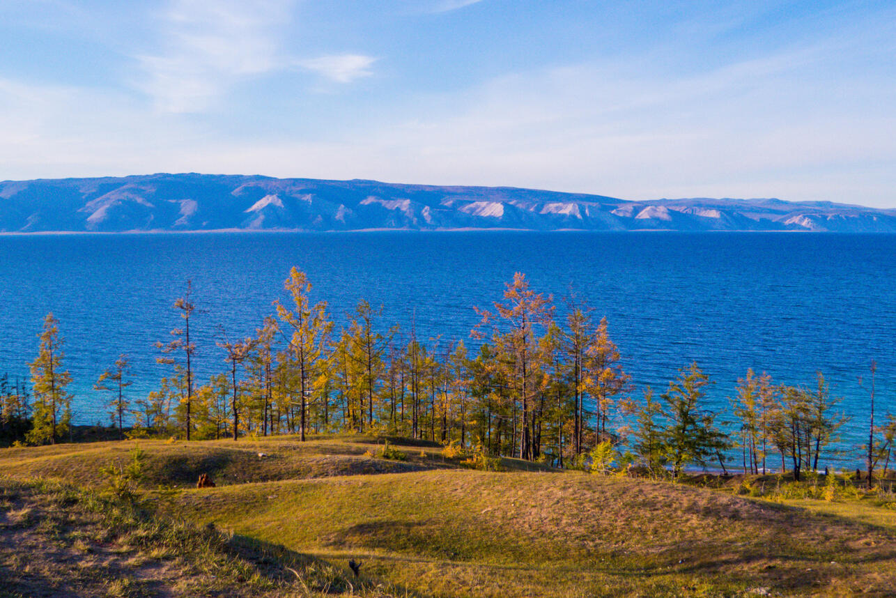   ,    ,  ,   ,    ,    ,     ,  ,   ,    ,  