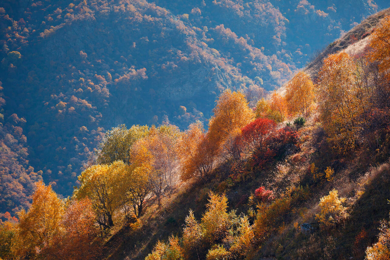   ,    ,  ,   ,    ,    ,     ,  ,   ,    ,  