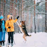 Перезагружаемся за выходные: как отдохнуть недалеко от дома