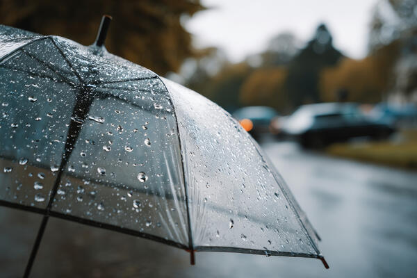 Синоптики предупредили о первых заморозках до конца недели — похолодает до +3