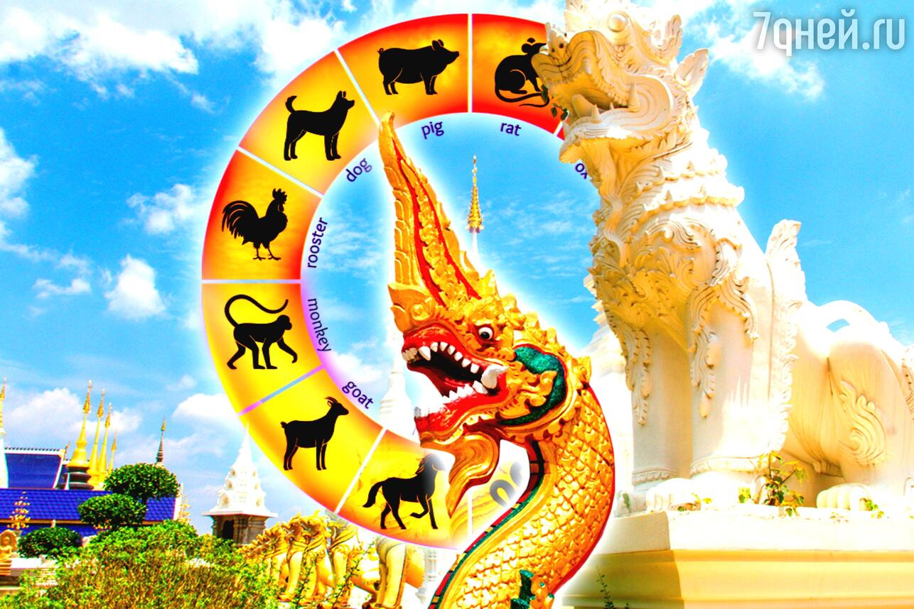 Тайский гороскоп на неделю 22 — 28 декабря для всех знаков восточного зодиака. Фото