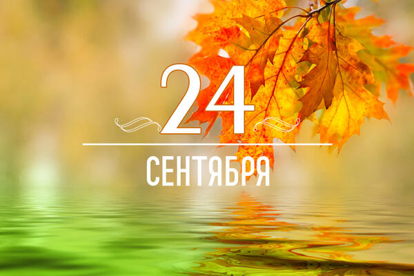       24 