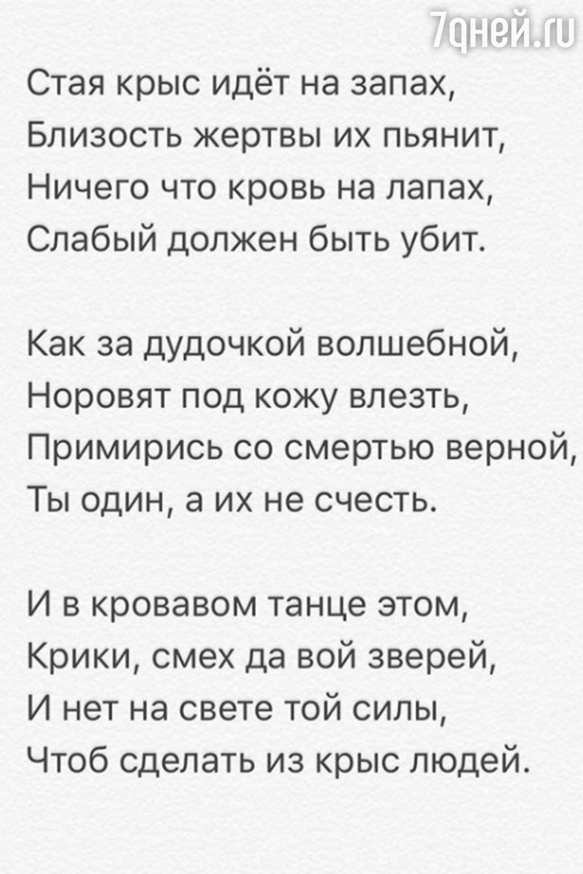 Стая крыс идёт на запах»: брошенный муж Полины Гагариной о наболевшем -  7Дней.ру