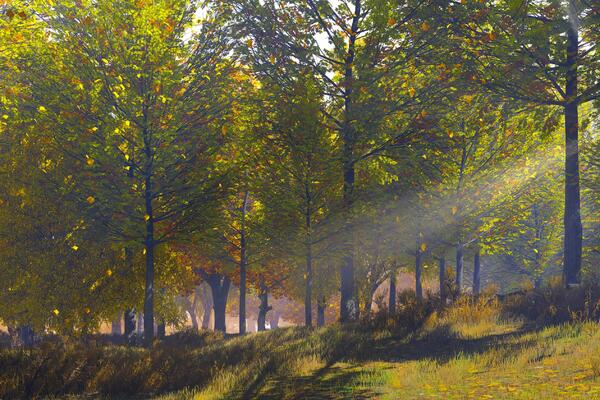 7 сентября: какой сегодня праздник?