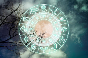 Лунный гороскоп на февраль 2026 года для всех знаков зодиака