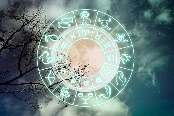 Лунный гороскоп на февраль 2026 года для всех знаков зодиака