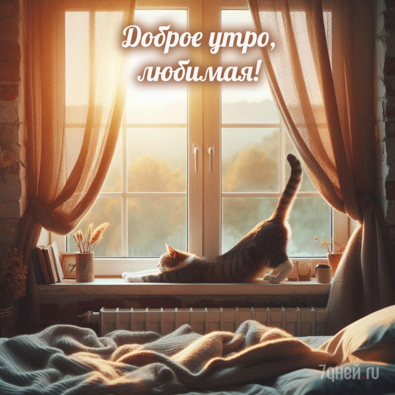 доброе утро картинки, открытки доброе утро, скачать открытки бесплатно, красивые картинки доброе утро, открытки с пожеланиями, доброе утро скачать, открытки для близких, утренние пожелания, добрые картинки, спокойные открытки утро