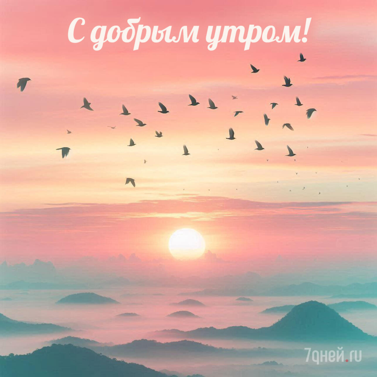 доброе утро картинки, открытки доброе утро, скачать открытки бесплатно, красивые картинки доброе утро, открытки с пожеланиями, доброе утро скачать, открытки для близких, утренние пожелания, добрые картинки, спокойные открытки утро