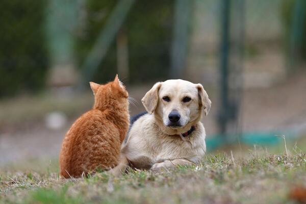 25 октября: какой сегодня праздник?