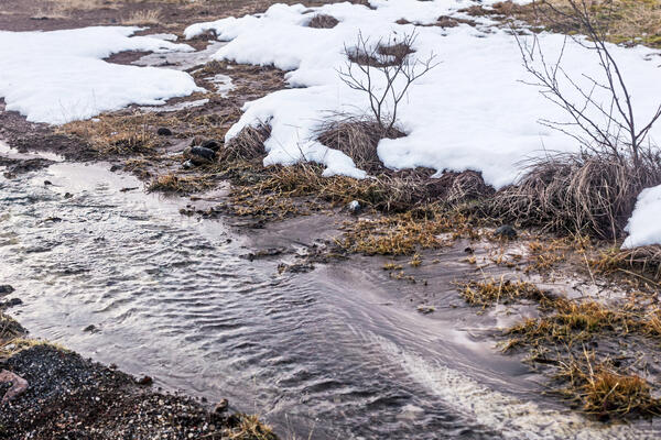 Когда в Москву придет климатическая весна — синоптик Ильин объявил об отступлении зимы