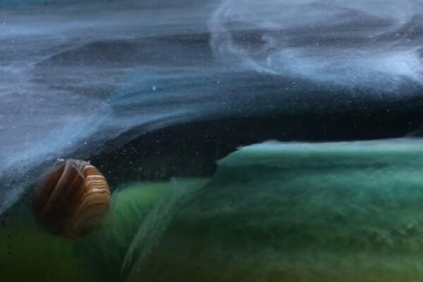 Как создать космос в аквариуме?