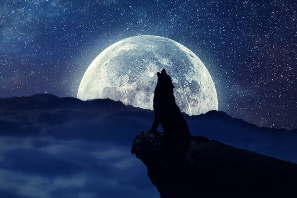 Волчья луна: полнолуние в январе 2022 года принесет судьбоносные перемены трем знакам зодиака