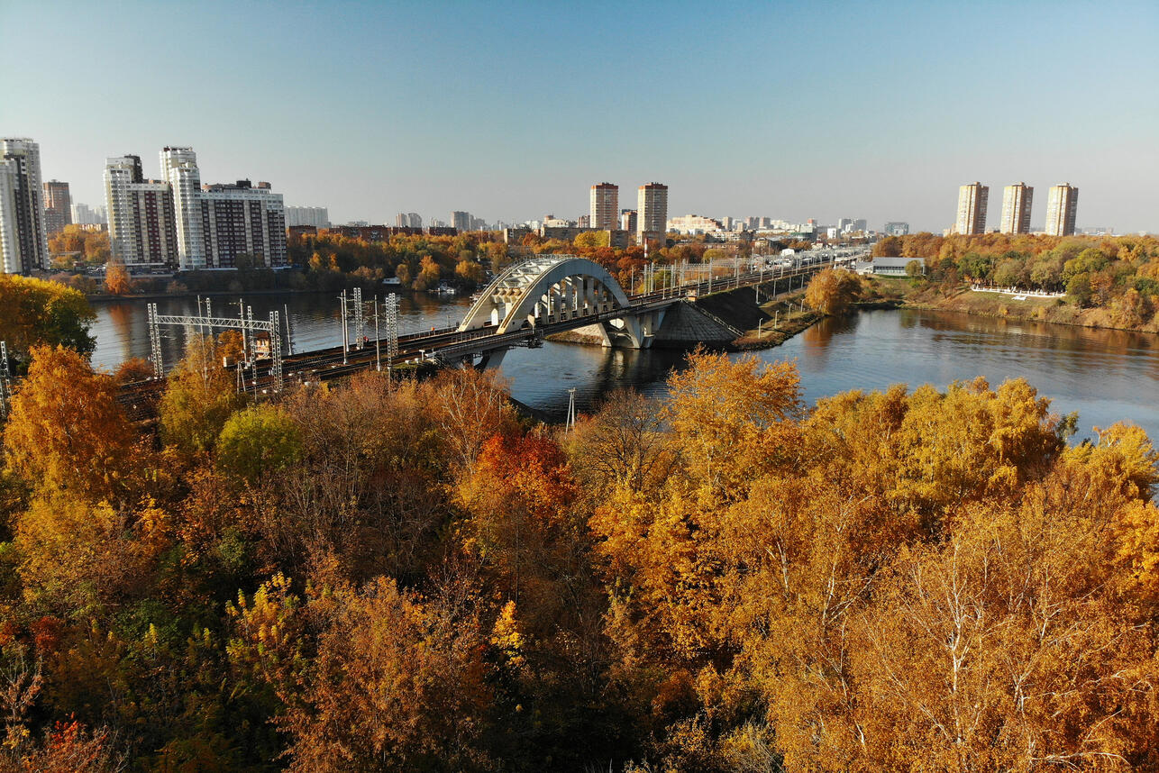 Синоптики рассказали про неожиданное тепло в начале ноября — цветущие ромашки и комары