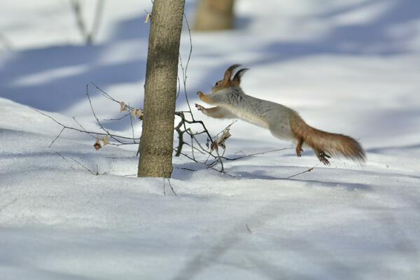 Крепитесь, люди: метеоролог рассказал, когда придет весеннее тепло