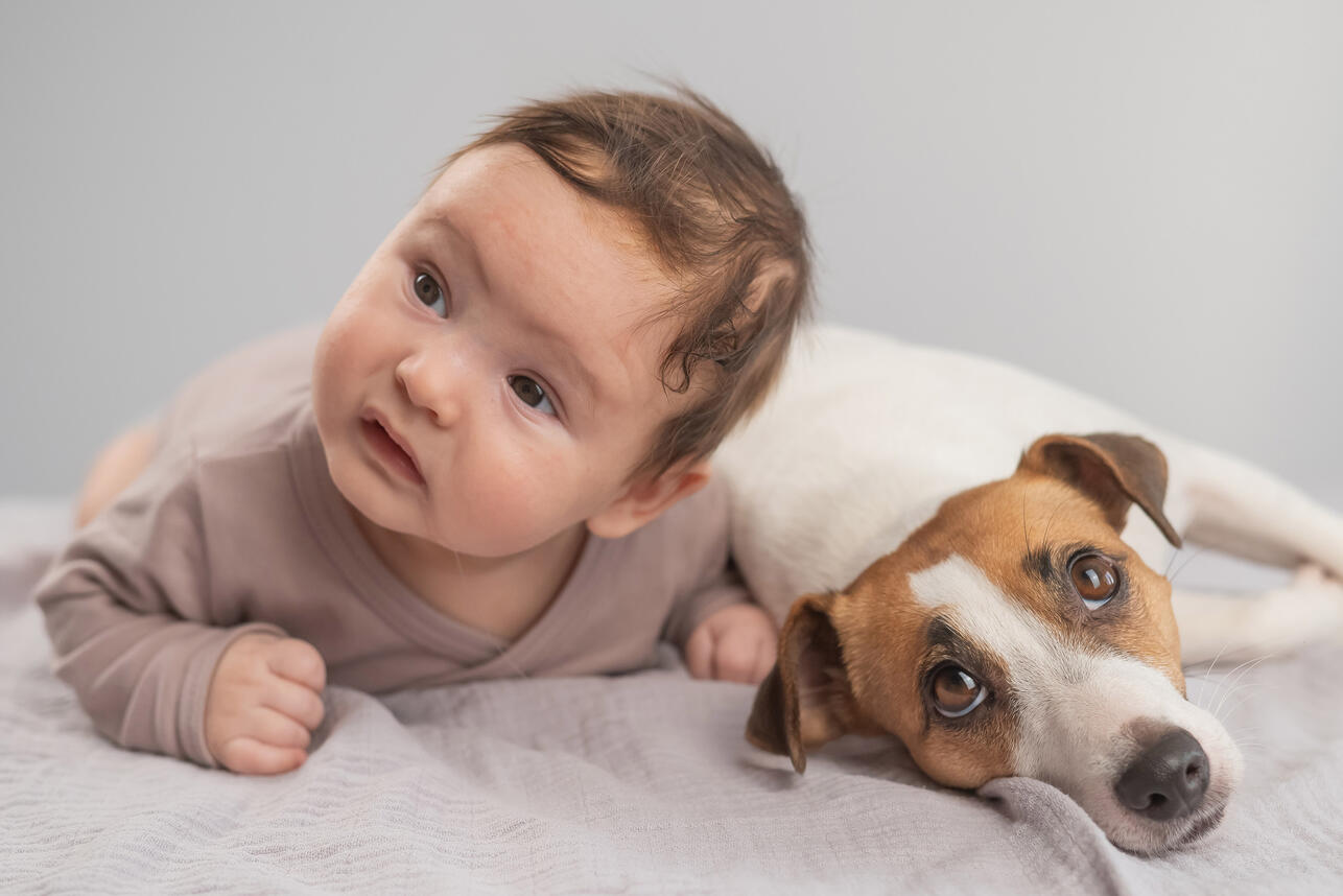 Как познакомить домашнего питомца с новорожденным 