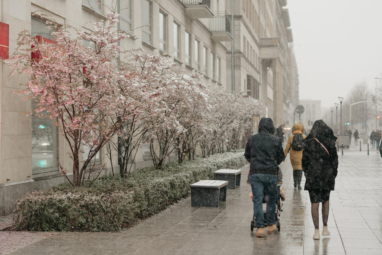 -8 РіСЂР&deg;РґСѓСЃРѕРІ Рё РјР&micro;С&sbquo;Р&micro;Р&raquo;СЊ: СЃРёРЅРѕРїС&sbquo;РёРєРё РЅР&deg;Р&middot;РІР&deg;Р&raquo;Рё РґР&deg;С&sbquo;Сѓ СЃРЅР&micro;Р&para;РЅРѕРіРѕ Р&deg;РїРѕРєР&deg;Р&raquo;РёРїСЃРёСЃР&deg; РІ РњРѕСЃРєРІР&micro;