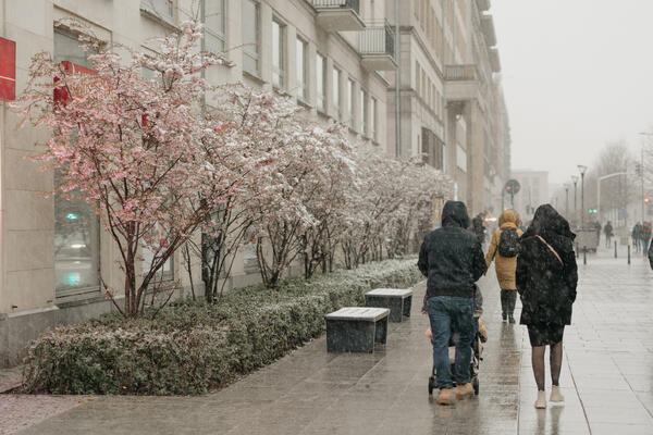 -8 градусов и метель: синоптики назвали дату снежного апокалипсиса в Москве