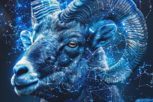 Сумеет поймать Змею за хвост: назван фаворит 2025 года