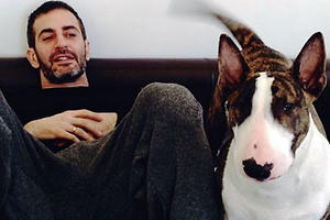 Марк Джейкобс сделал своего пса звездой новой рекламной кампании 