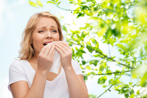 Аллергический ринит: как отличить его от ОРВИ